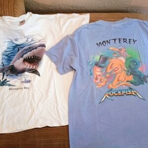 Vintage Monterey Bay Shark Shirts